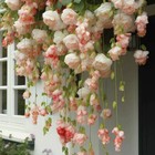 Foto 10 di 22
