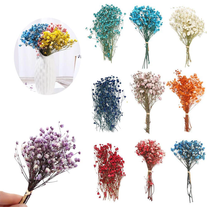 Natural Small Mini Babysbreath Bouquet Dried Flowers Gypsophila Dry Flower