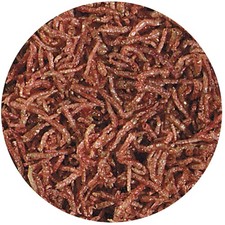 Freeze Dried Blood Worms for Fish, 1.6oz