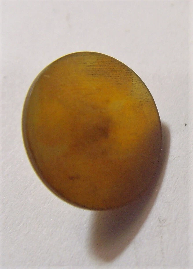 1930s antique faux amber tortoise shell collector shank button 52387 - Image 4 of 4