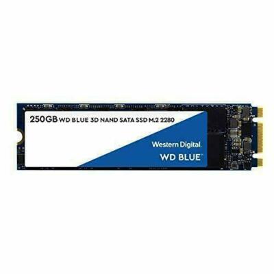 Western Digital WDS250G2B0B 3D NAND SSD  250GB M.2 2280 SATA
