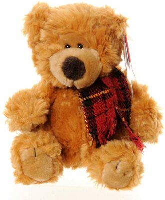 bean filled teddy bear
