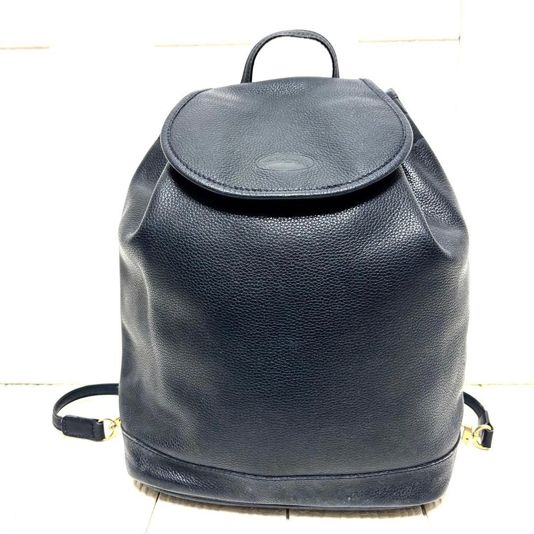 Longchamp Backpack Blue Bags & Handbags for Women for sale | eBay