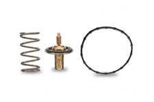 Thermostat Toyota LEXUS