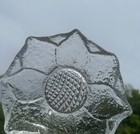 Bild 4 von 8