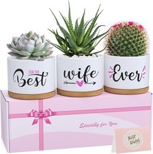 Valentines Day Birthday Gifts for Wife from Husband, Unique Anniversary Wedding 