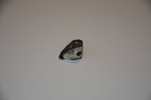Donnerkeil Belemniten im Stein Einschluss Fossil Hiddensee Ostsee - Bild 17 von 18