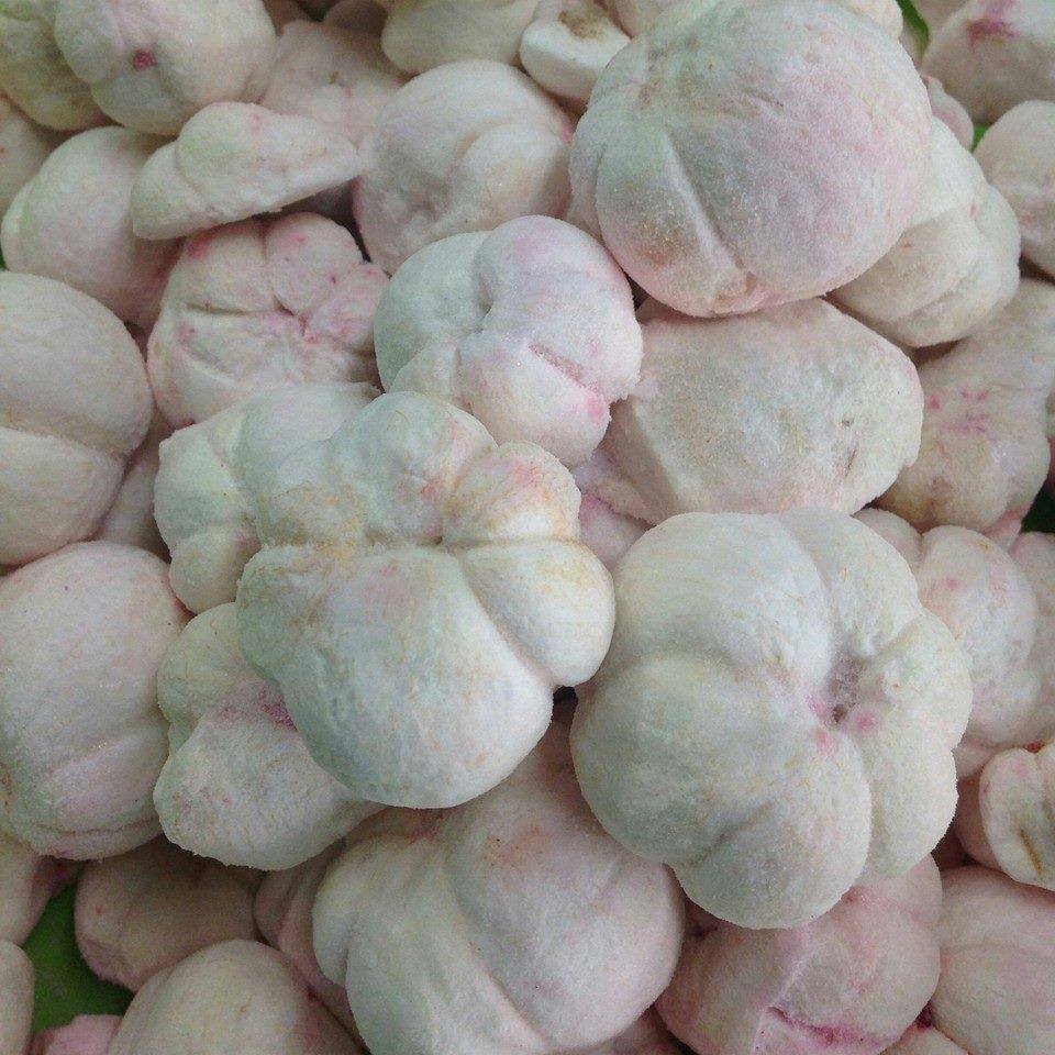 マンゴースチン2k g Amazon.com: NOKKI FARM Freeze Dried Mangosteen - Healthy