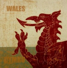 Welsh Dragon Velvet Cushion Panel ONLY Wales Cymru Gift Idea