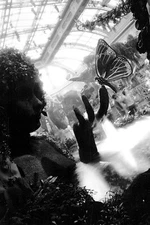 Kodak 2302 35mm Black & White Film ~36exp Low ISO