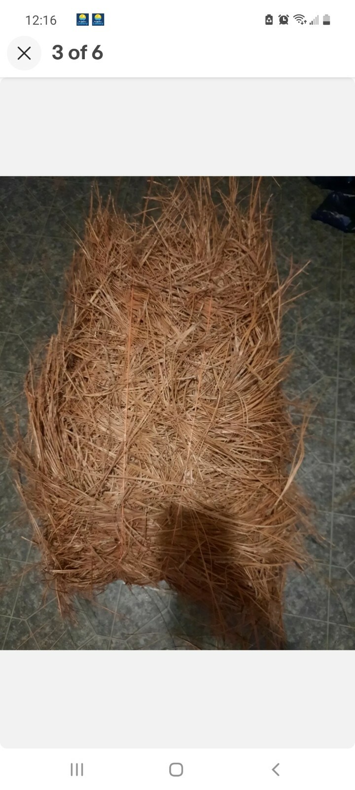 Pine Straw Longleaf 15 Lbs bail eBay