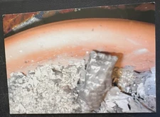 art postcard Center Book Arts Summer 2003 gallery invitation