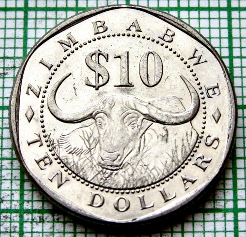 ZIMBABWE 2003 10 DOLLARS, GREAT ZIMBABWE BIRD & Cape Buffalo, one year type AUNC - 第 3/6 張圖片
