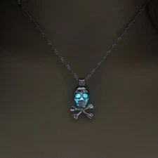 Glow in the Dark SKULL CROSSBONES 1" x 5/8" (27mm) Dangle Pendant 18" Necklace