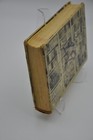 Bild 8 von 16