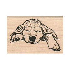 Mounted Rubber Stamp, Sleeping Dog, Dog Stamp, Puppy, Golden Retriever Puppy