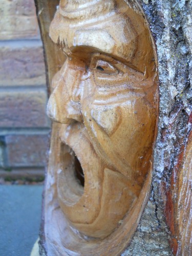 Carved Wooden Green Man Bird House Nesting Box 33 cm Indoor / Outdoor Variants - Picture 16 of 16