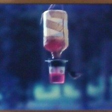 Hummingbird At Feeder 1972 Agfachrome 35mm Slide Car55