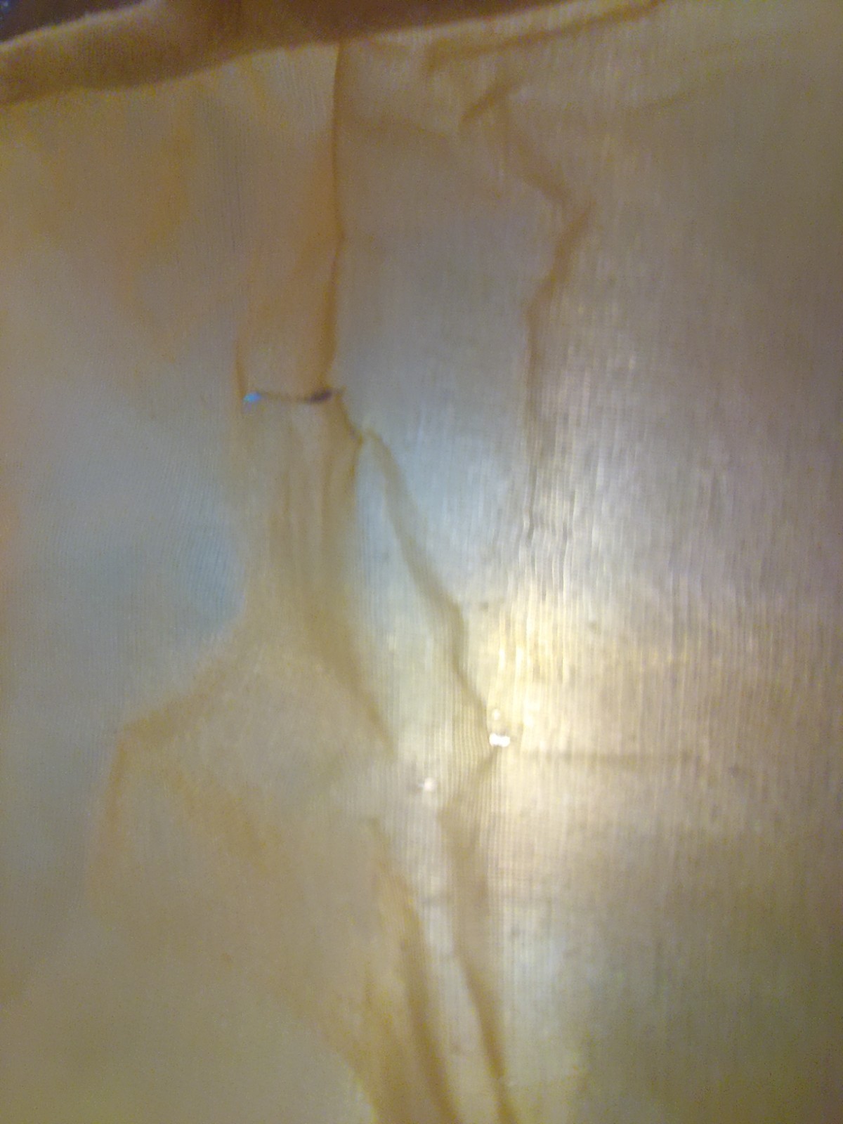 Picture 8 of 10