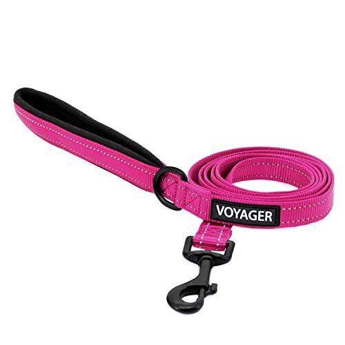 Voyager Reflective Dog Leash with Neoprene Handle, 5ft Long, Supports Small, ... - Picture 1 of 5