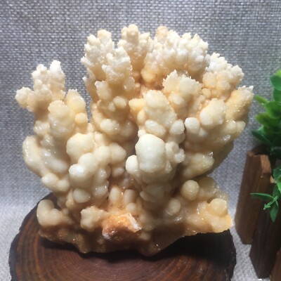 710g Natural New find yellow Calcite Crystal cluster mineral specimen/China  59