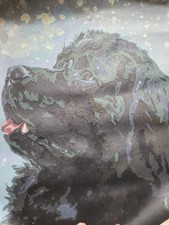 One Of A Kind Hand Painted Acrylic Newfoundland Dog On Loose Canvas