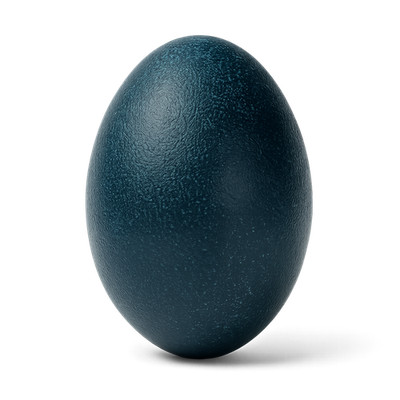 Echtes Emu Ei Natur 13 cm   ausgeblasenes Deko Ei dunkelgrün-schwarz Unikat