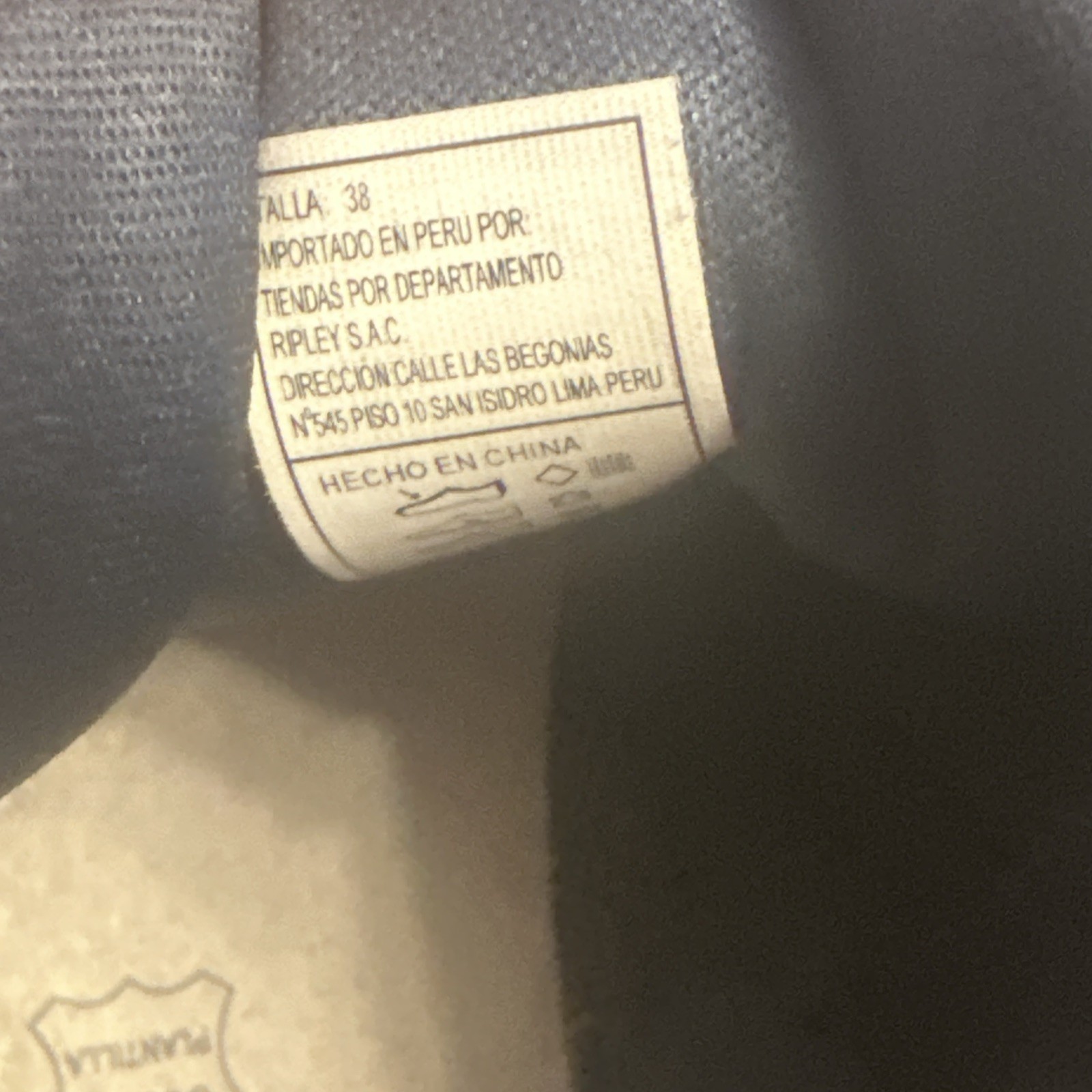 Brigitte naux sneaker - image 4