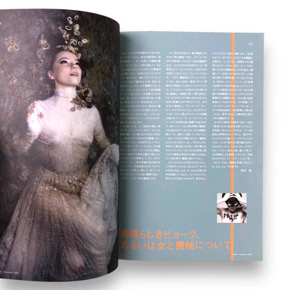 Japanese Music Magazine REMIX Bjork Special Cover Nov 2004 No 161 Rare — 第 4/4 张图片