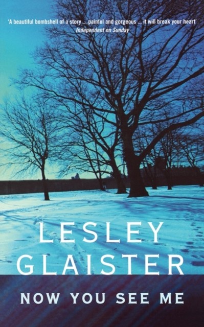 Now You See Me Lesley Glaister - Image 2
