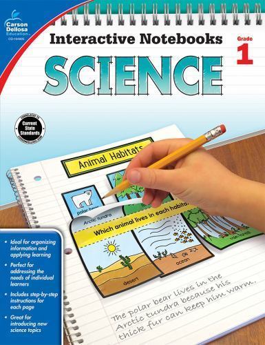 Carson Dellosa 1st Grade Interactive Notebo - 1483831213, Holly Rafidi, Taschenbuch - Bild 1 von 1