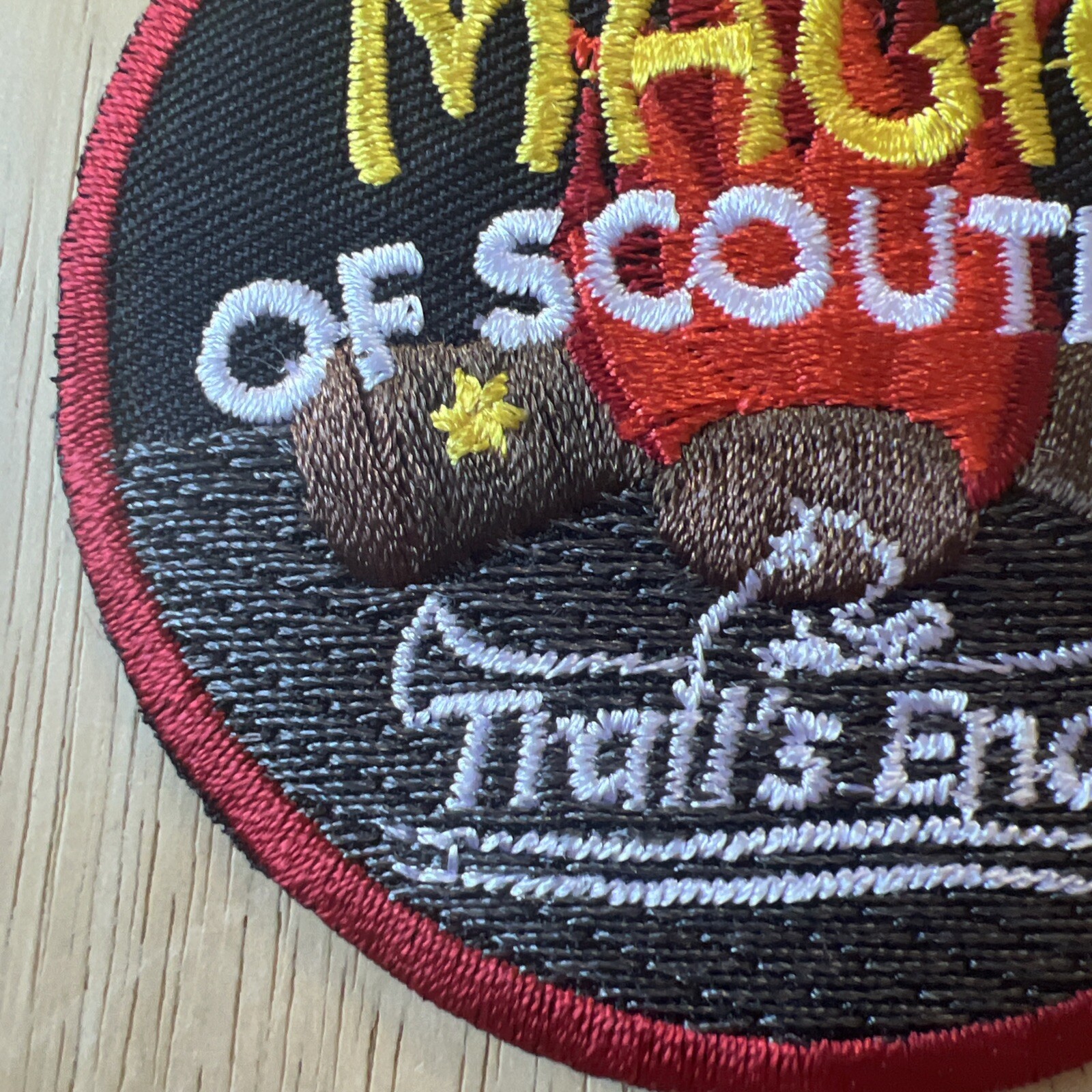 BSA  2010-2011 Trails End Magic Of Scouting Patch