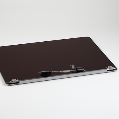 Newegg Screen Replacement Macbook Pro 2019 Muhp2 LCD Display