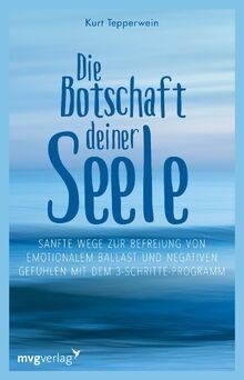 Die Botschaft deiner Seele: Sanfte Wege zur Befreiu... | Buch | Zustand sehr gut