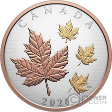 MAPLE LEAVES IN MOTION 5 Oz Silver Coin 50$ Canada 2026