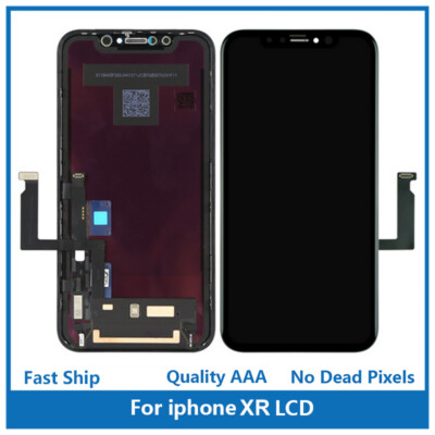 iPhone XR 6.1