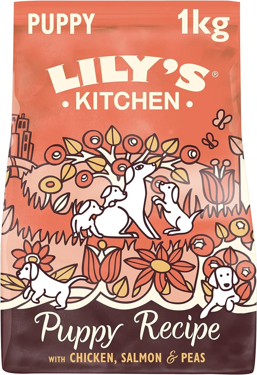 Lily's kitchen dry food sales