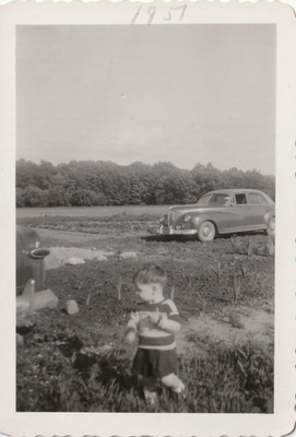 #ad Vintage Photo 1951 Boy on Farmland Crops 1946 Packard Clipper Rural America USA $9.99