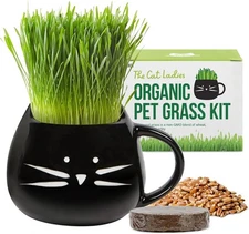 Organic Cat Grass for Indoor Cats - Growing Kit with Organic Seed Mix, Soil