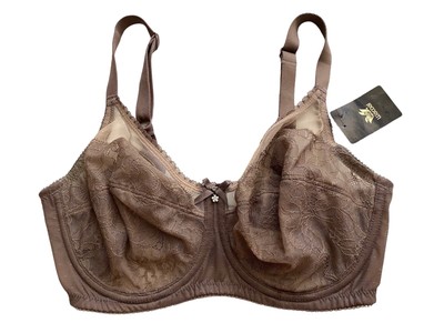 triumph new bike 2021