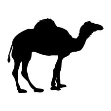 Camel Desert Silhouette Decal Sticker Black Die Cut Vinyl