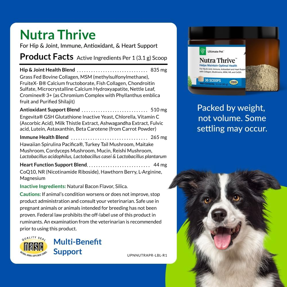 Nutra Thrive Canine, 40-In-1 Nutritional Powder Supplement for Dogs with  Digesti | eBay