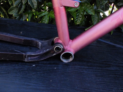 15.5" Ellsworth Truth MTB frame anodized pink w/ Float RP23, Salsa clamp - Picture 6 of 19