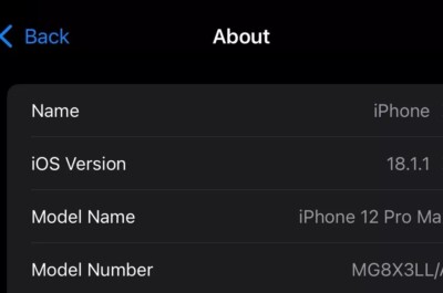 iPhone 12 Pro Max Ticktock Installed 