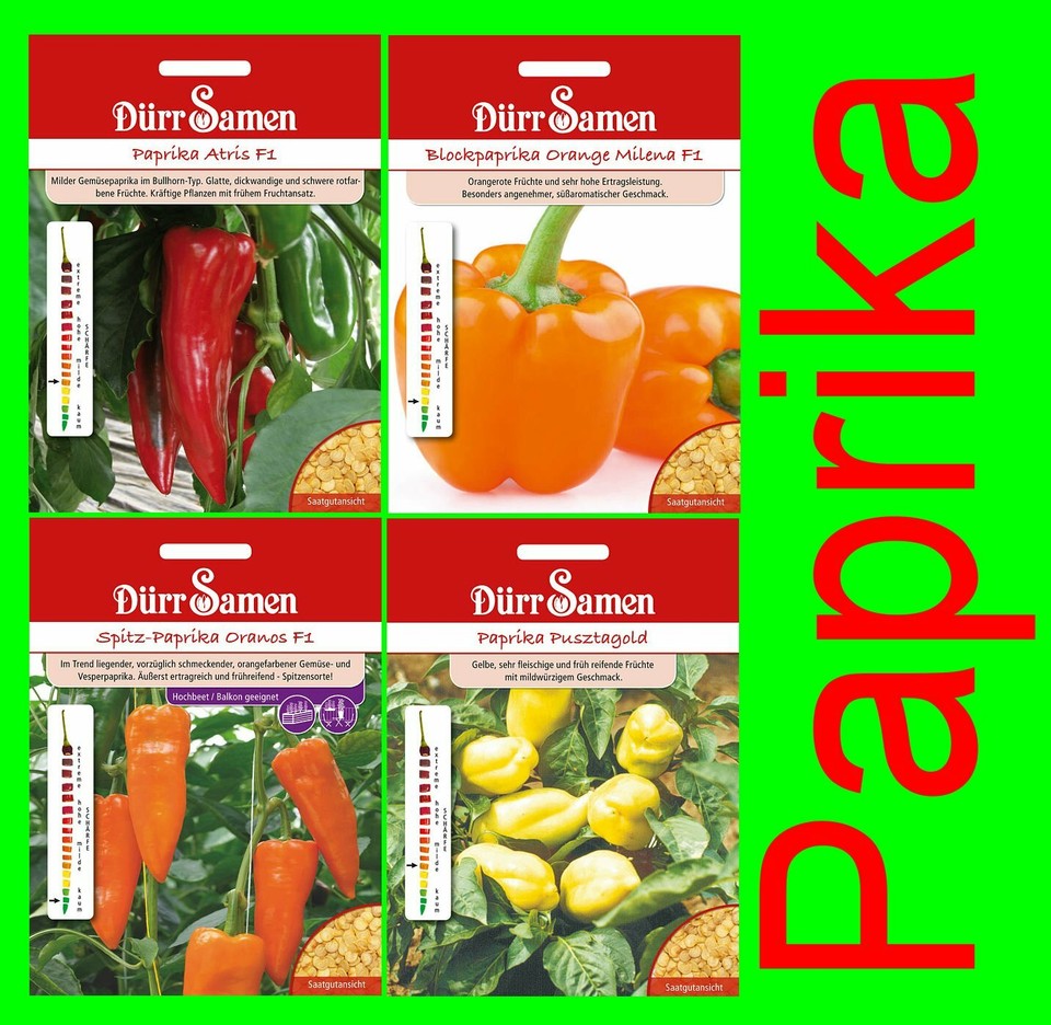 Semillas semillas siembra pimientos oro Pusztagold Atris pimientos en bloque Oranos campo libre