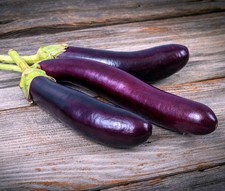 Eggplant Seeds Long Purple Asian Heirloom Non-GMO Vegetable Drough Resistant
