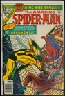 Marvel Comics The Amazing SPIDER-MAN Annual #10 The Human Fly FN 6.0
