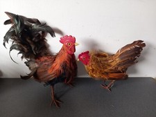 Coppia Di Gallina E Gallo In Plastica E Vere Piume