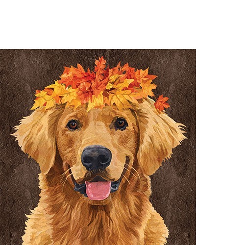 20 Kleine Cocktailservietten Enzo HerbstbläTter Hund Tiere Lustig Natur 25X25Cm-image