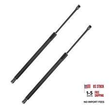 Rear Hatch Tailgate Liftgate Lift Supports Shock Struts Compatible with Lexus